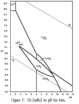 Phase diagram for iron